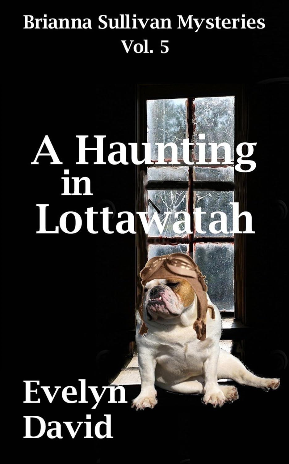 A Haunting in Lottawatah (Brianna Sullivan Mysteries Book 5) poster