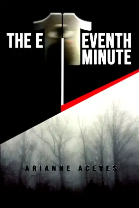The Eleventh Minute poster