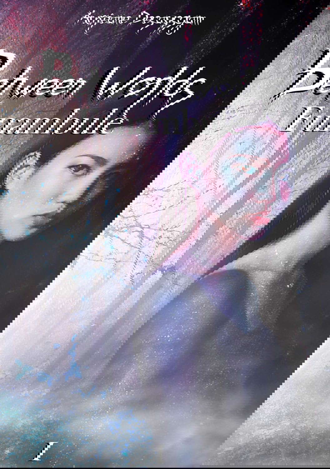 Between Worlds: Funambule poster