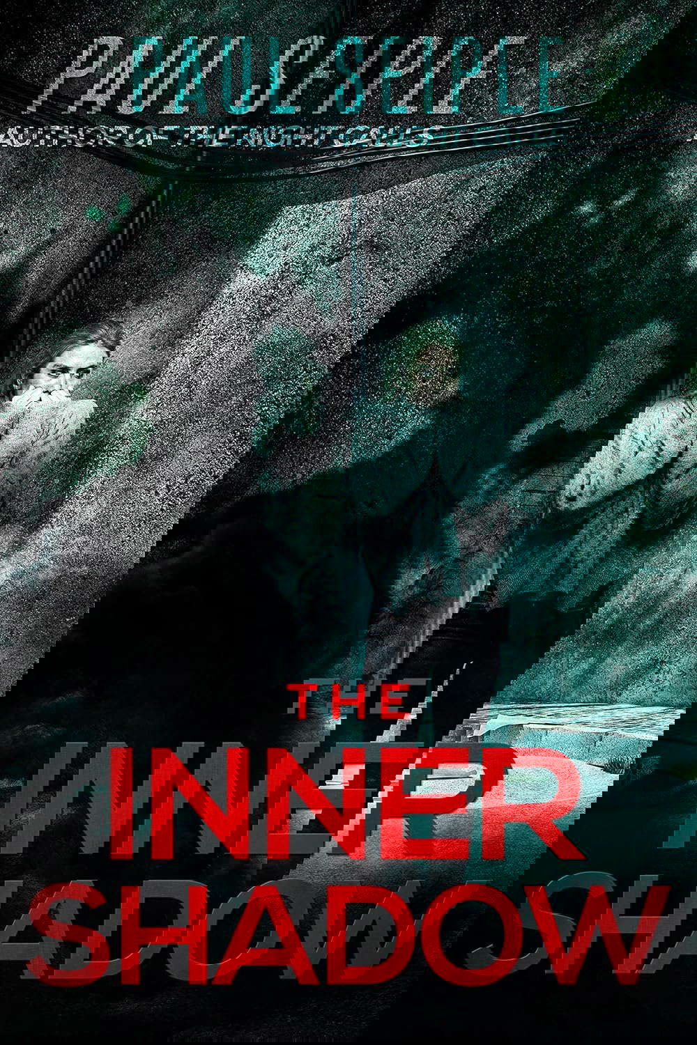 The Inner Shadow (A Project Specter Mystery Book 3) poster