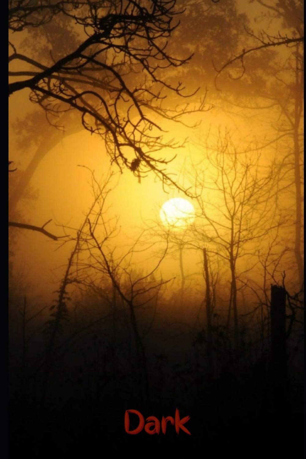 Dark Notebook: Transitions to Horror (Dark Notebooks) poster