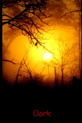 Dark Notebook: Transitions to Horror (Dark Notebooks) poster