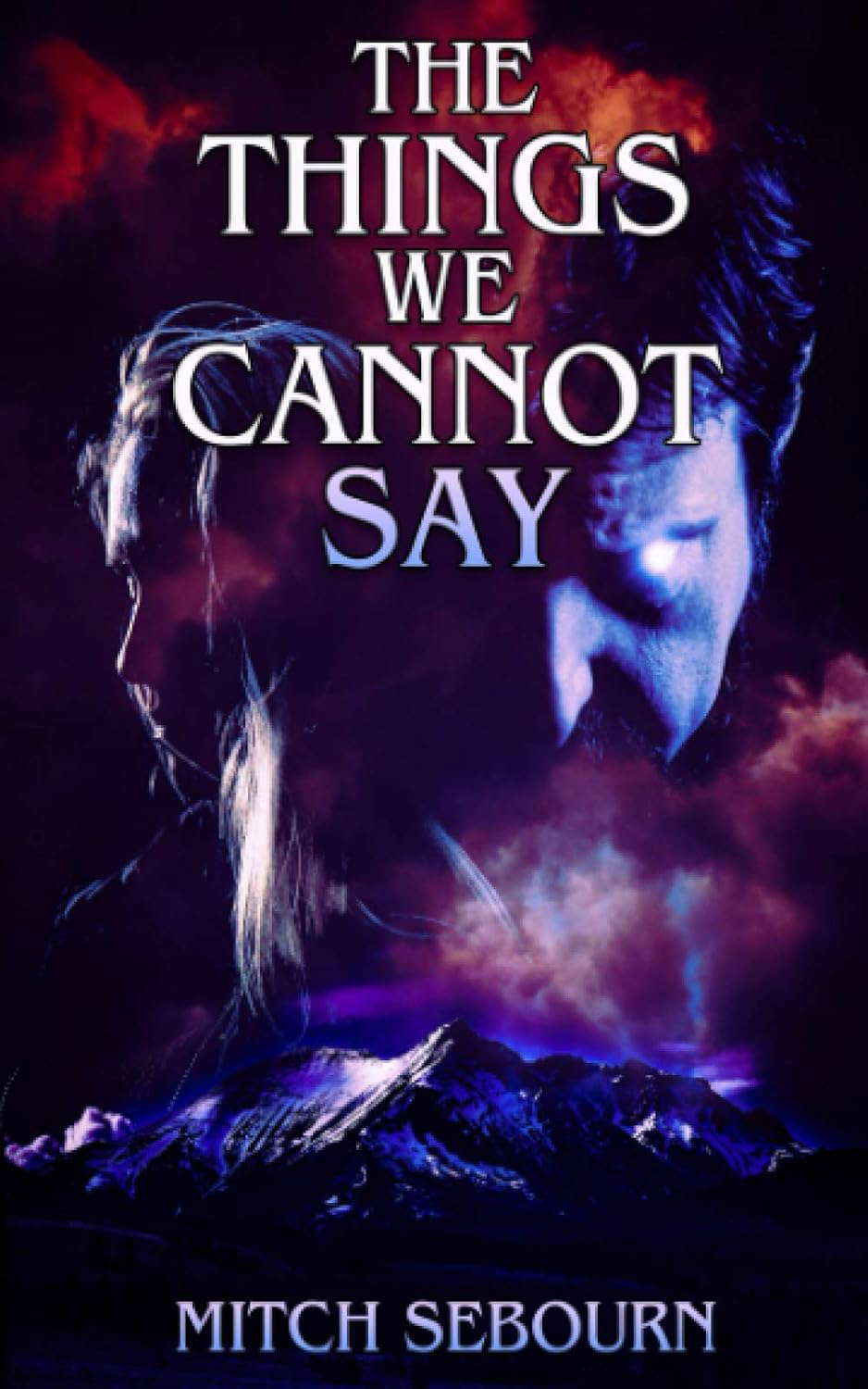 The Things We Cannot Say poster