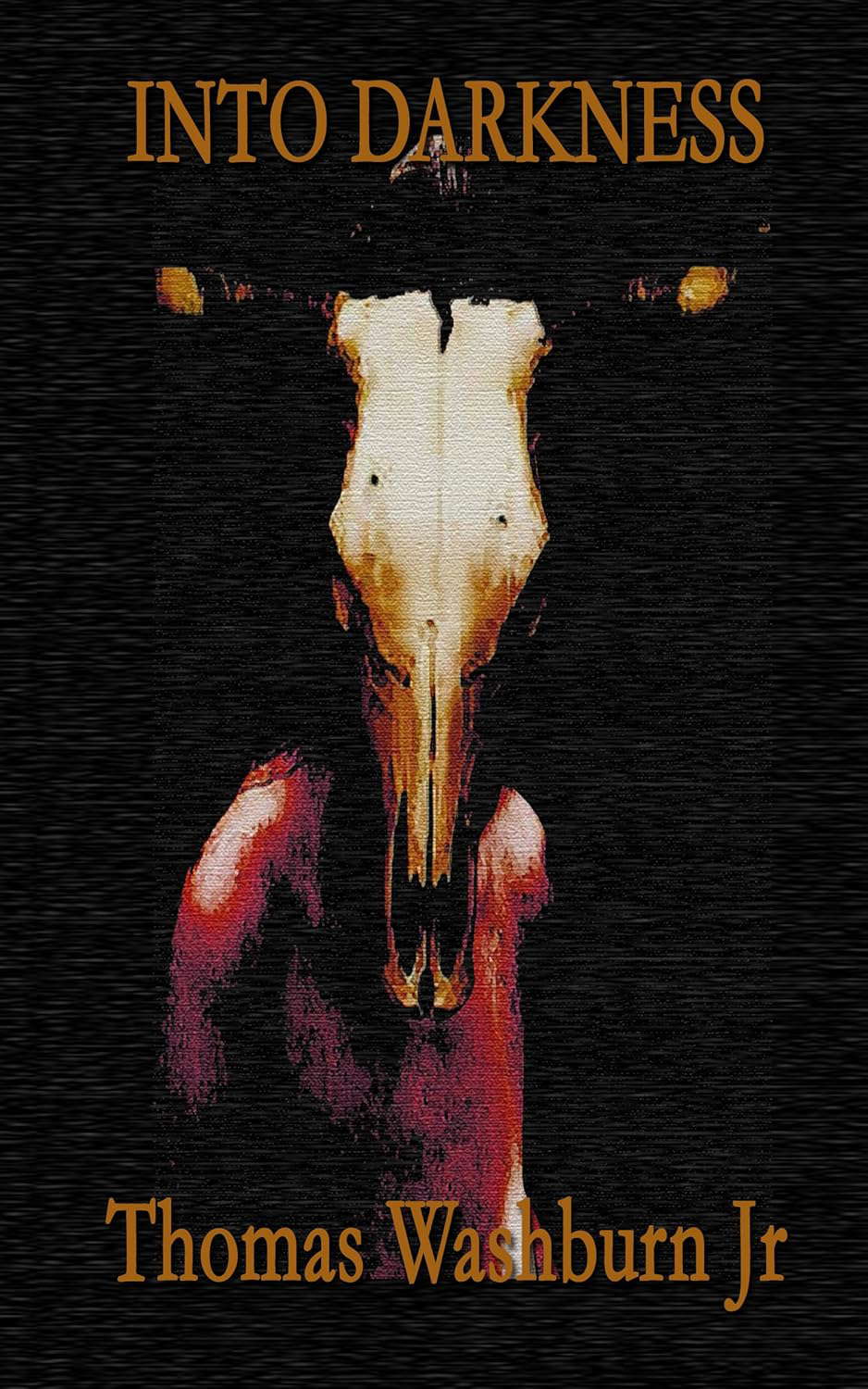 Into Darkness poster