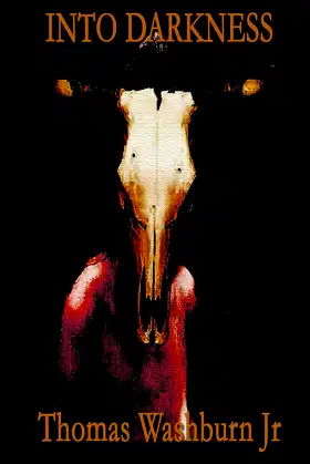 Into Darkness poster