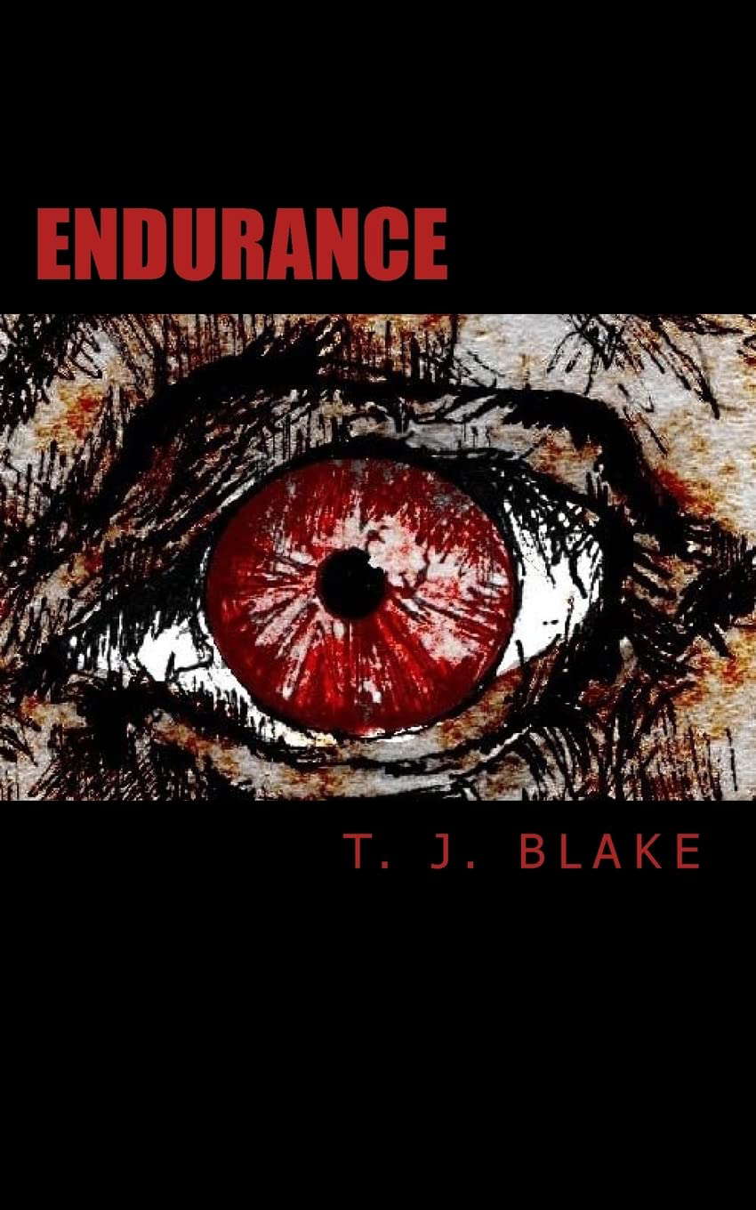 Endurance poster