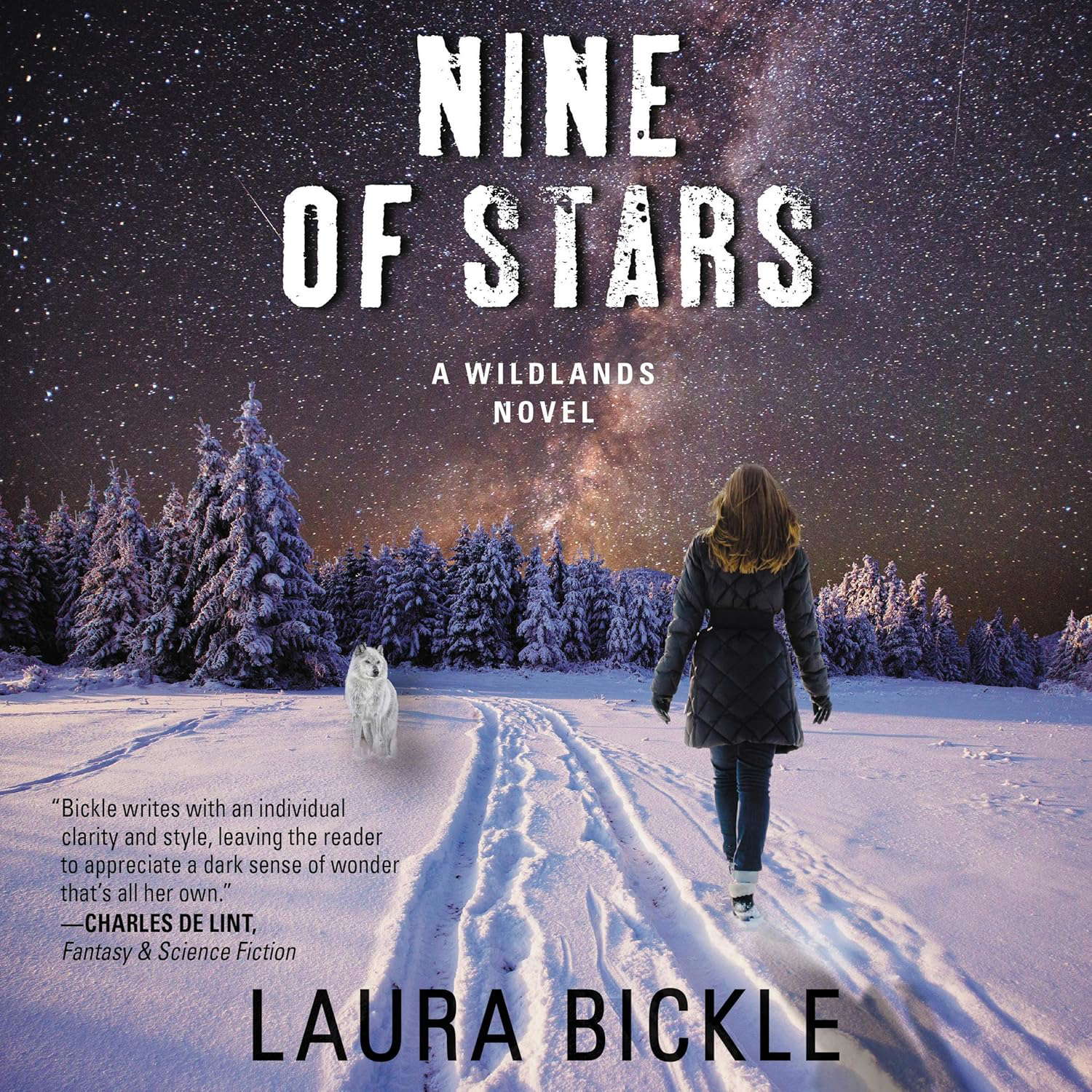 Nine of Stars: A Wildlands Novel (Dark Alchemy Series, 3) poster