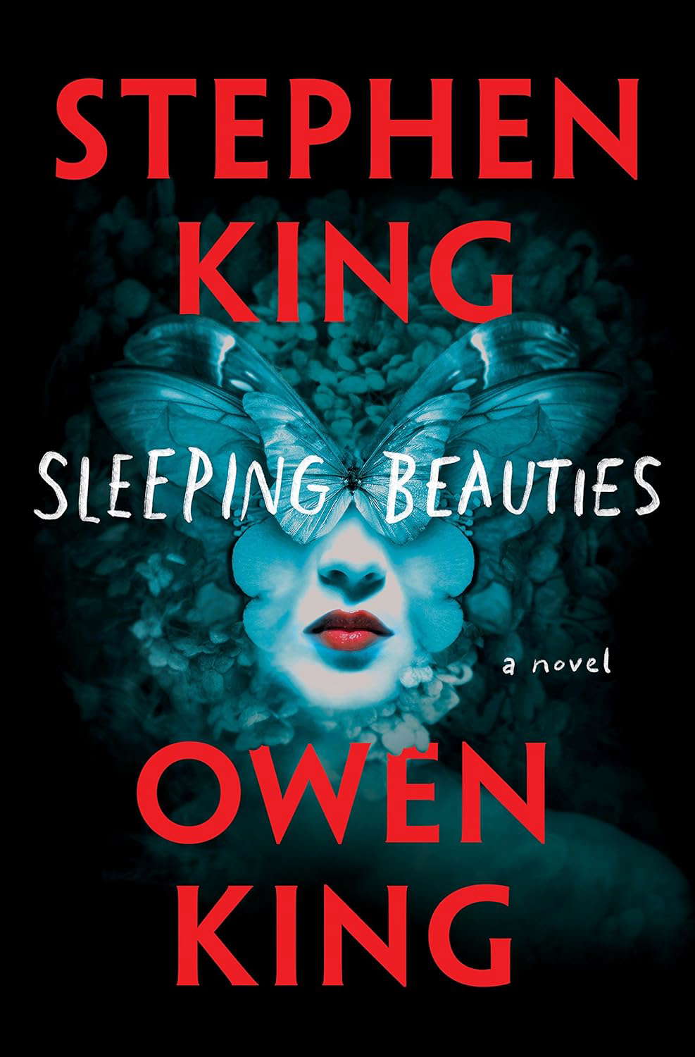 Sleeping Beauties poster