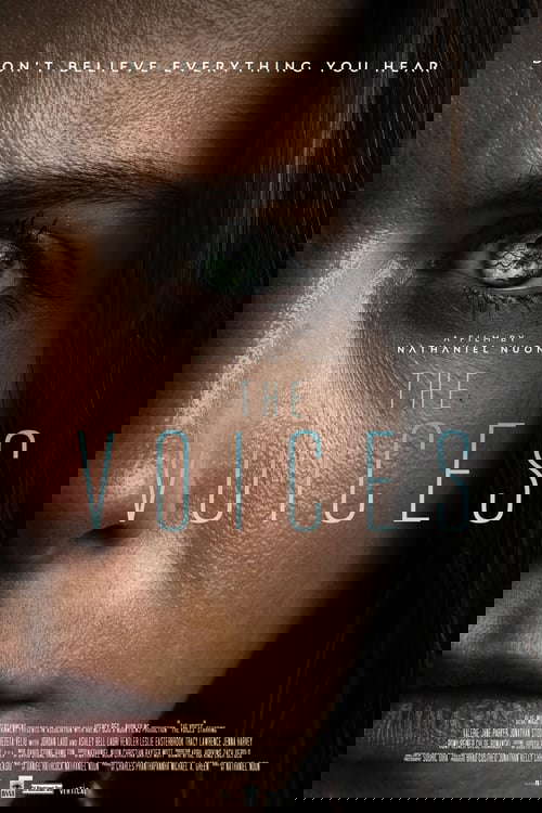 Voices poster