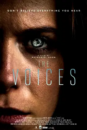 Voices poster