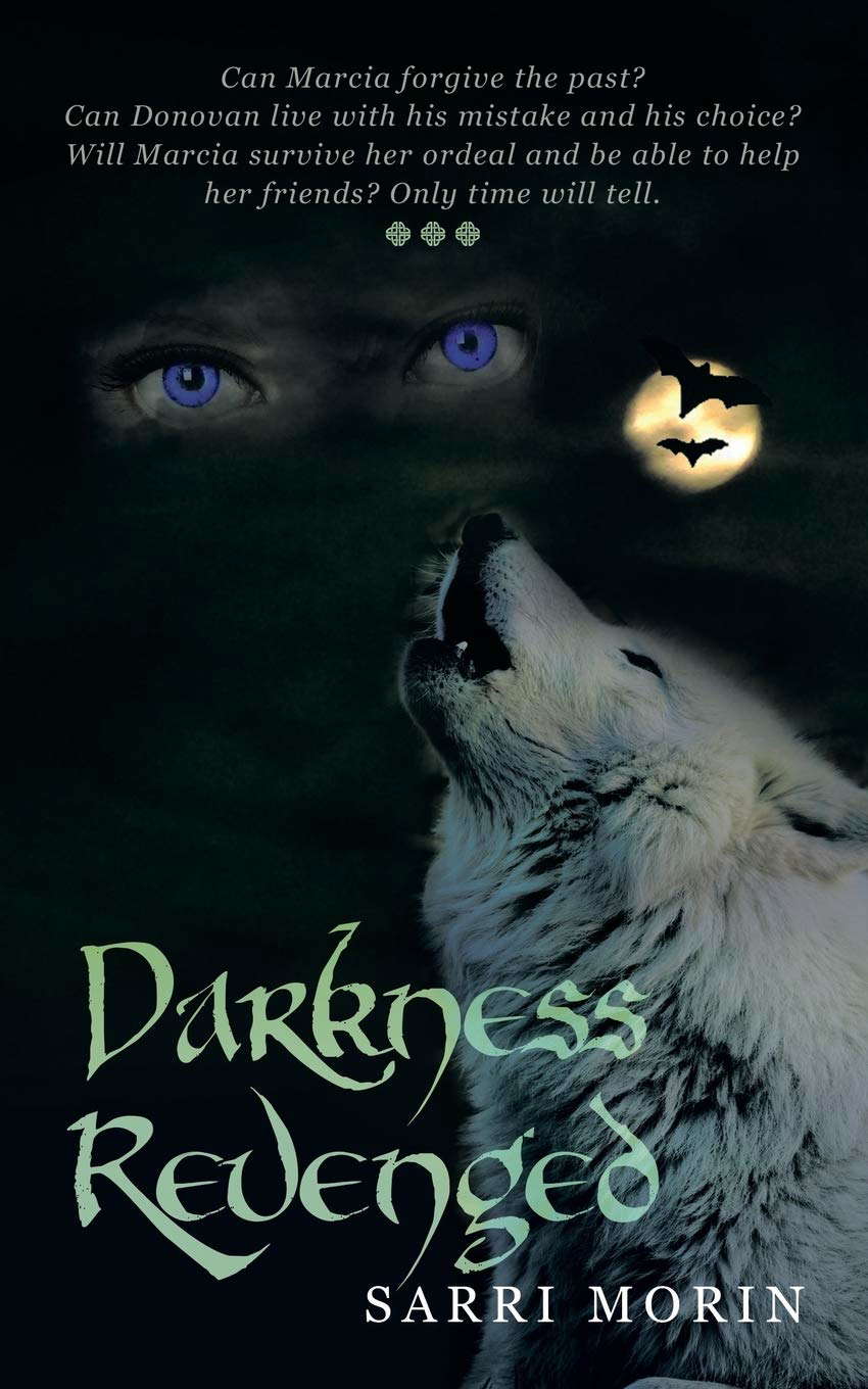 Darkness Revenged poster