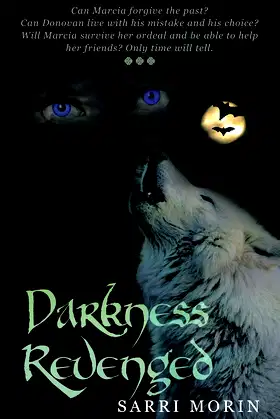 Darkness Revenged poster