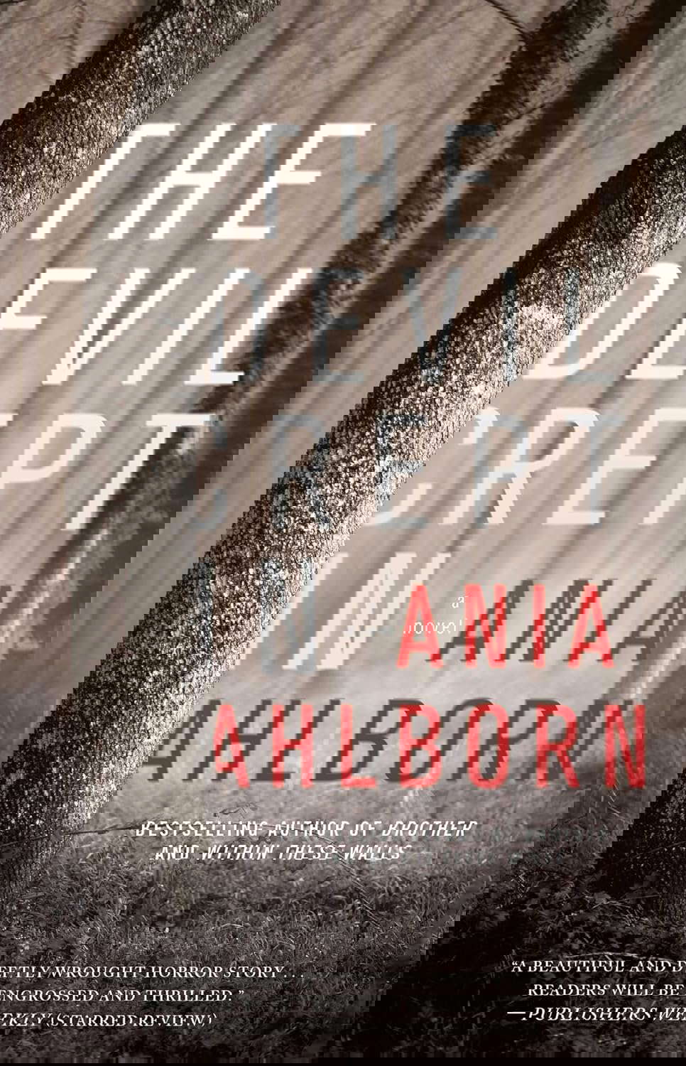 The Devil Crept In: A Novel poster