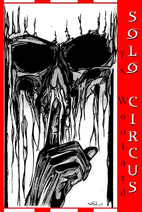 Solo Circus poster