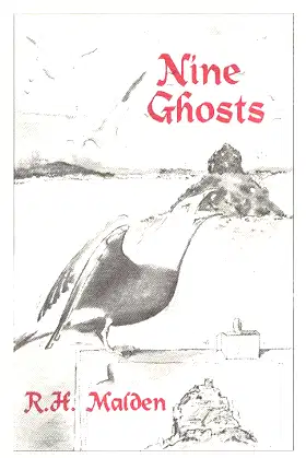 NINE GHOSTS poster