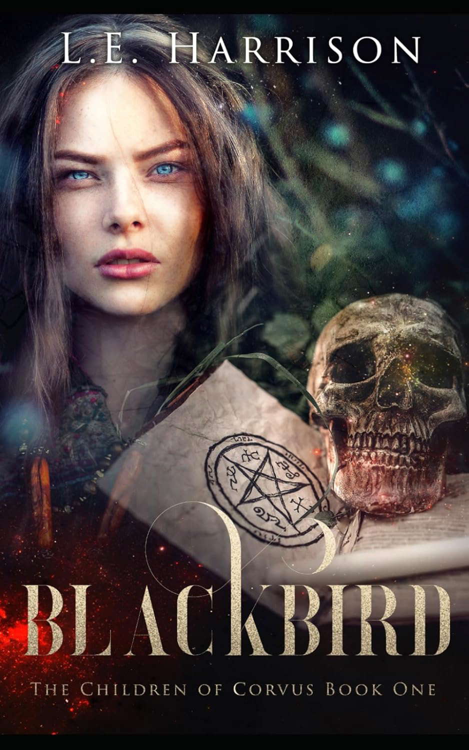 Blackbird poster
