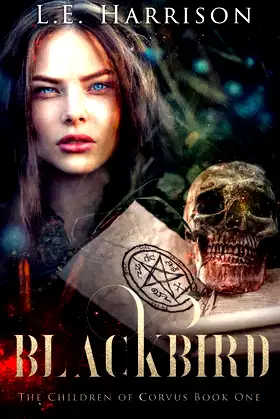 Blackbird poster