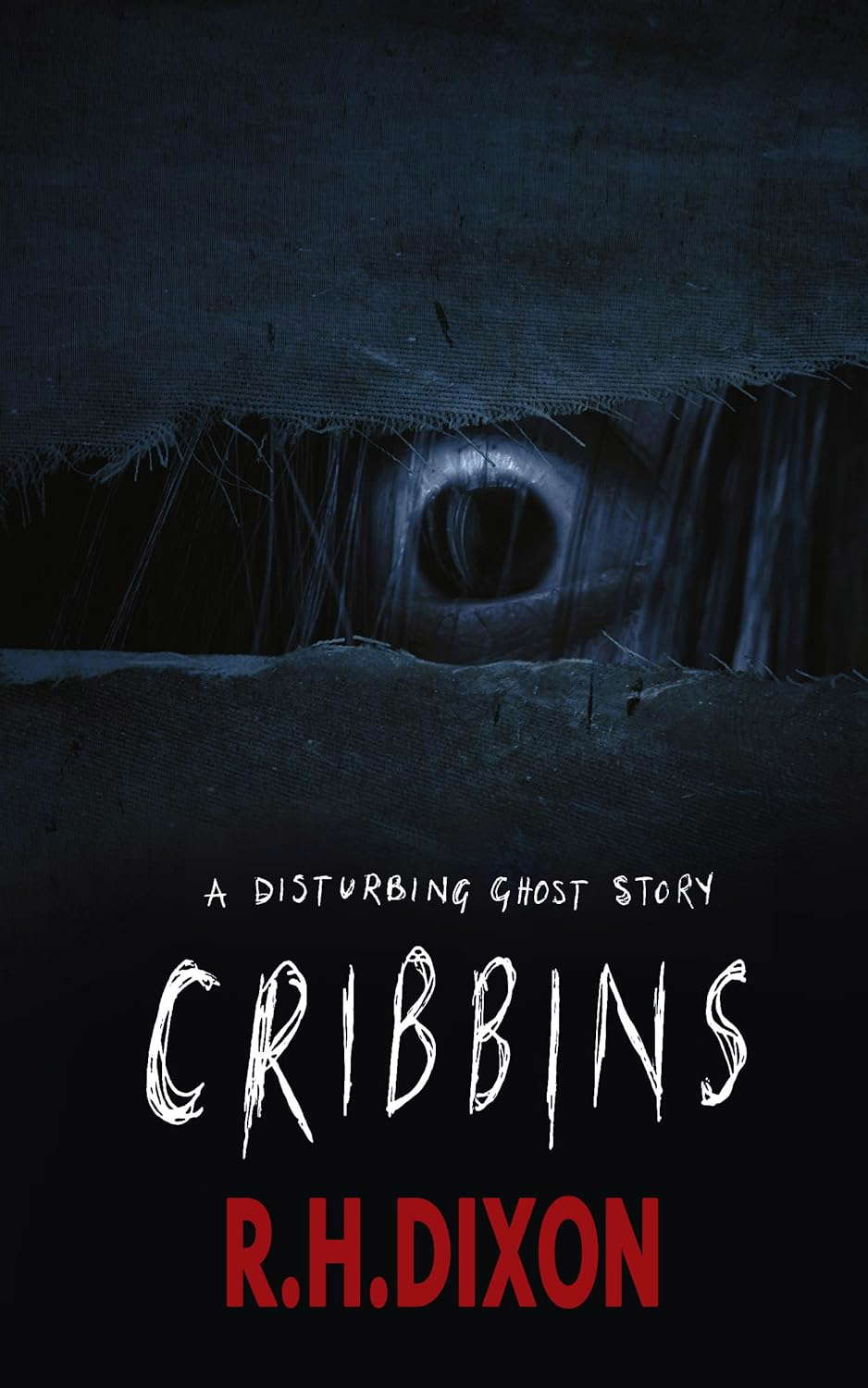 Cribbins: A Disturbing Ghost Story poster