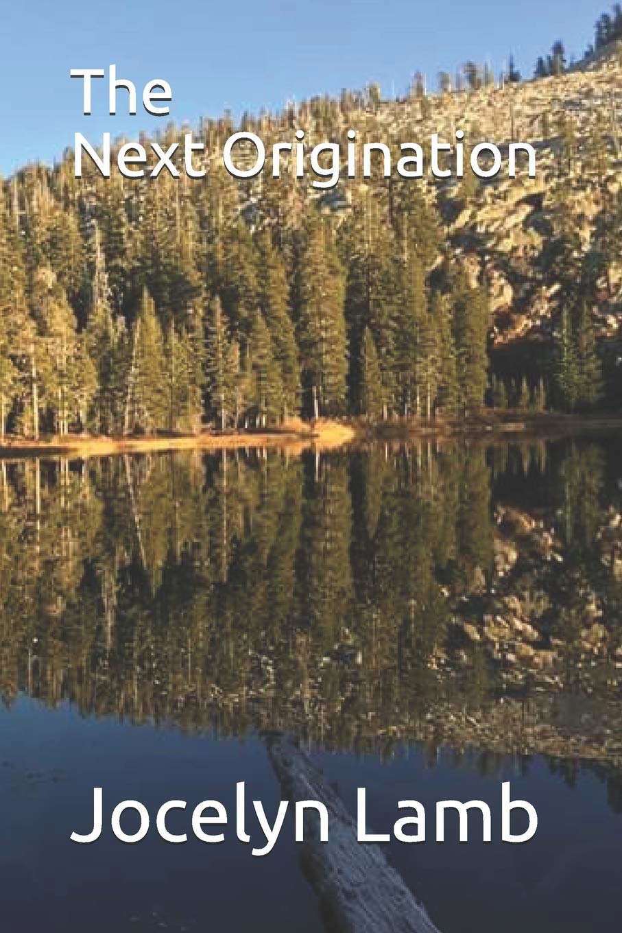 The Next Origination poster