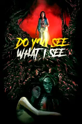 Do You See What I See poster