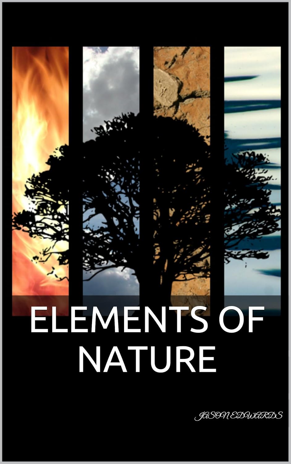 Elements of Nature poster