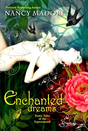 Enchanted Dreams: Erotic Tales of the Supernatural poster