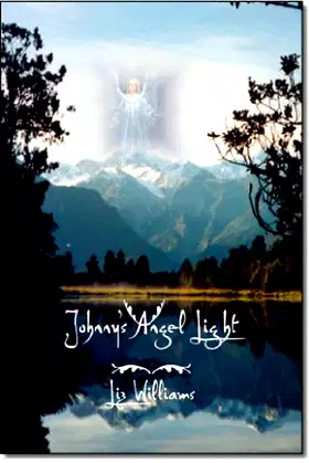 Johnny's Angel Light poster
