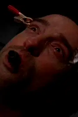 Asylum poster