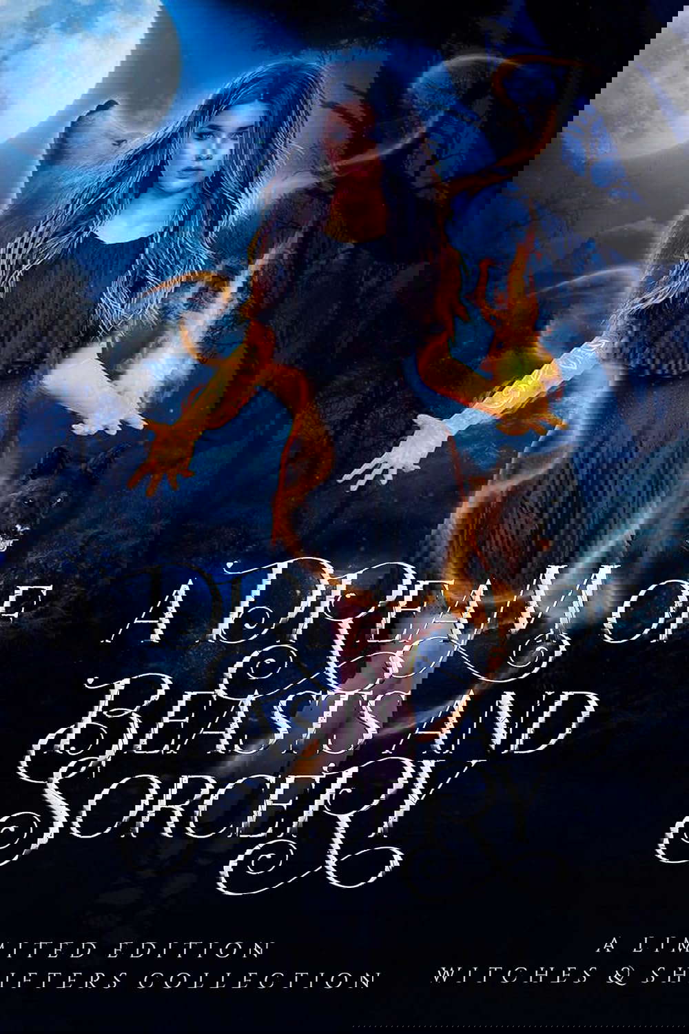 A Dream of Beasts and Sorcery poster
