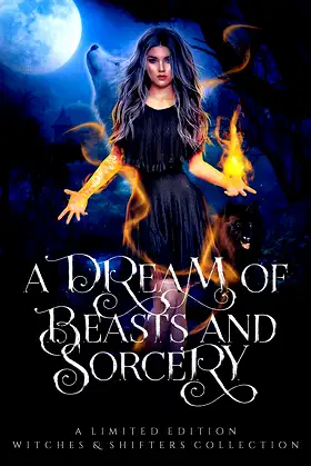 A Dream of Beasts and Sorcery poster