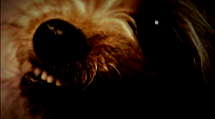 episode poster