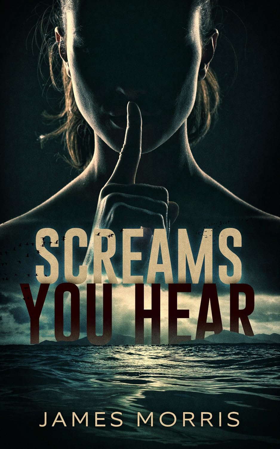 Screams You Hear poster