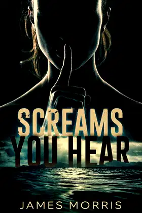 Screams You Hear poster