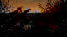 episode poster