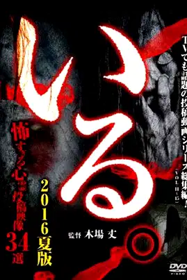 「Iru.」(Vol.11-15) Sōshūhen 2016 Natsu-ban Kowasugiru Shinrei Tōkō Eizō 34-sen poster