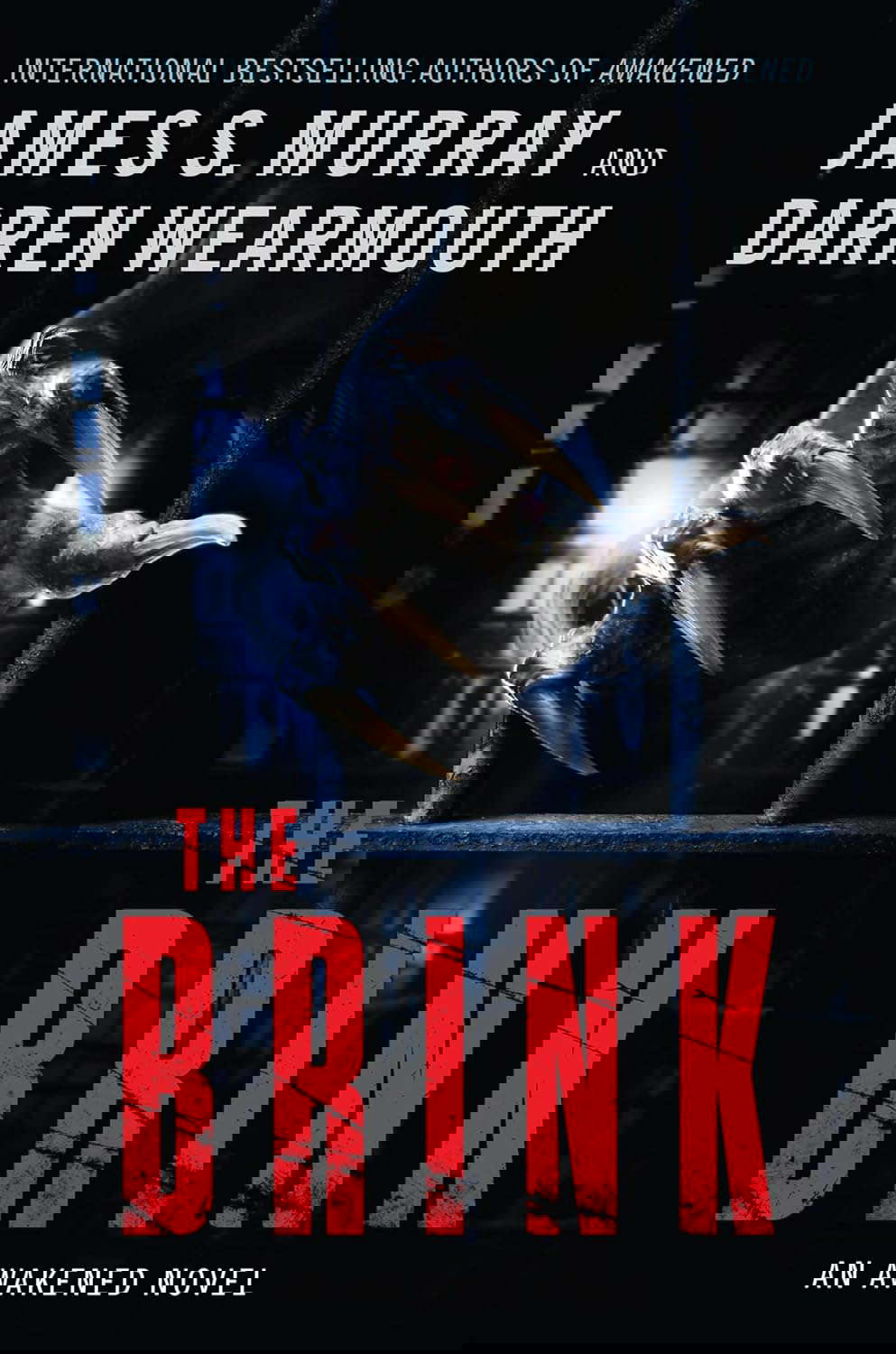 The Brink: An Awakened Novel (Awakened, 2) poster