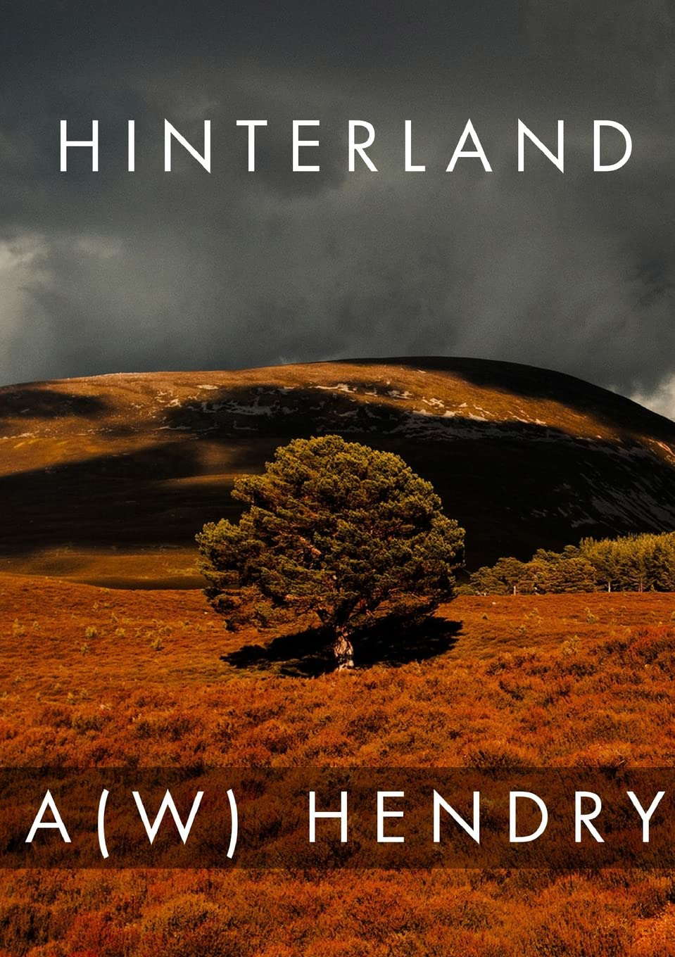 Hinterland poster