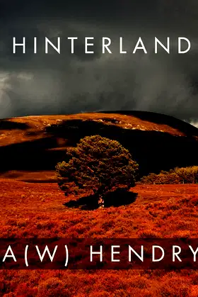 Hinterland poster