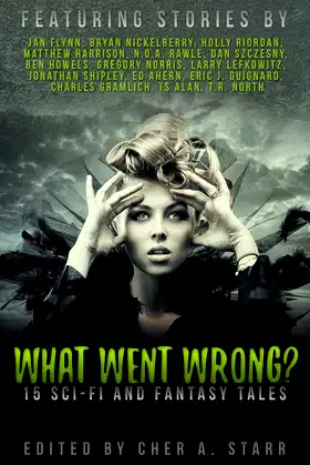 What Went Wrong poster
