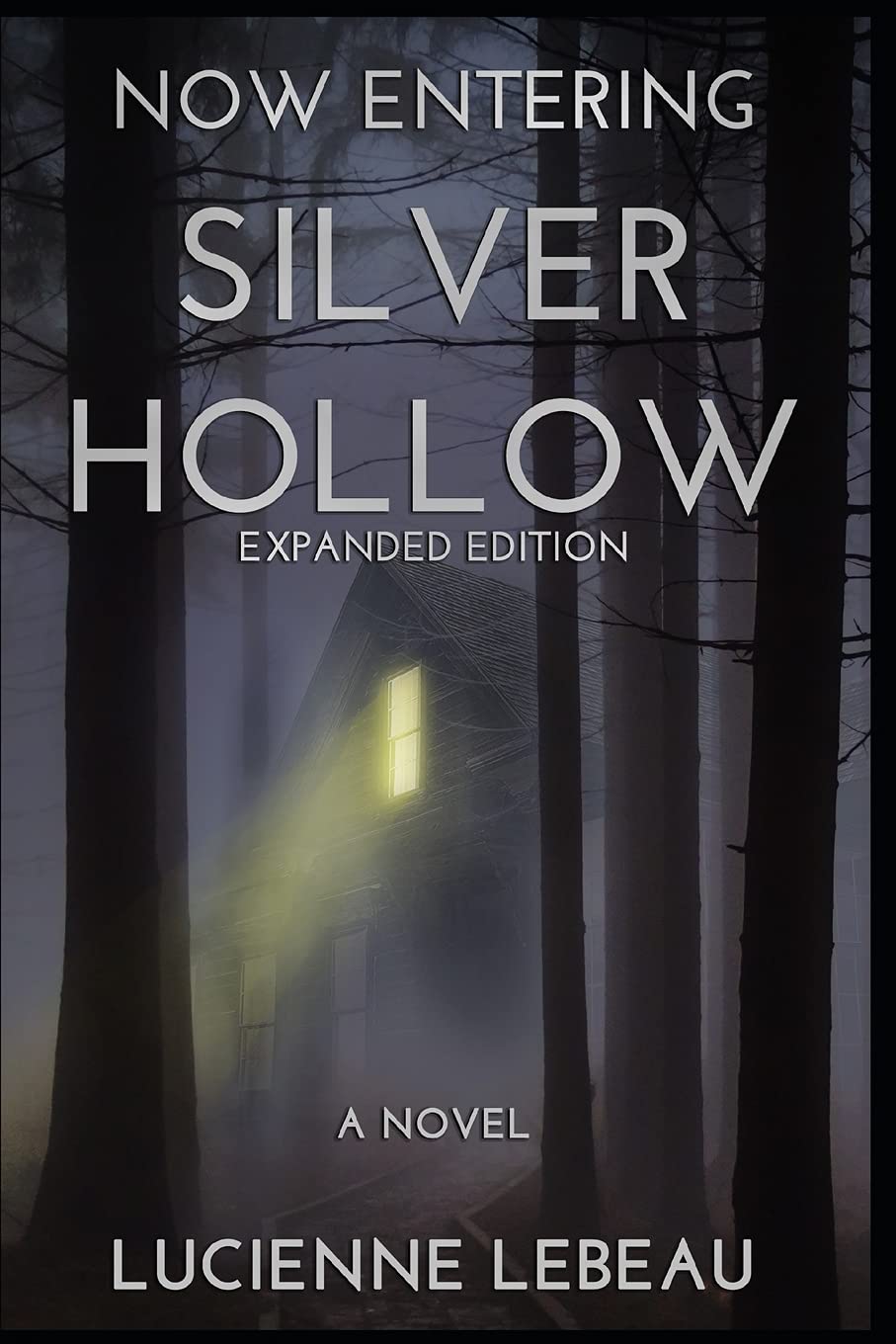 Now Entering Silver Hollow poster