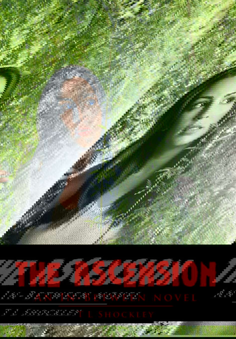 The Ascension: An In-Between Novel poster