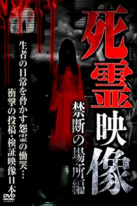 Dead Spirit Video: Forbidden Place poster