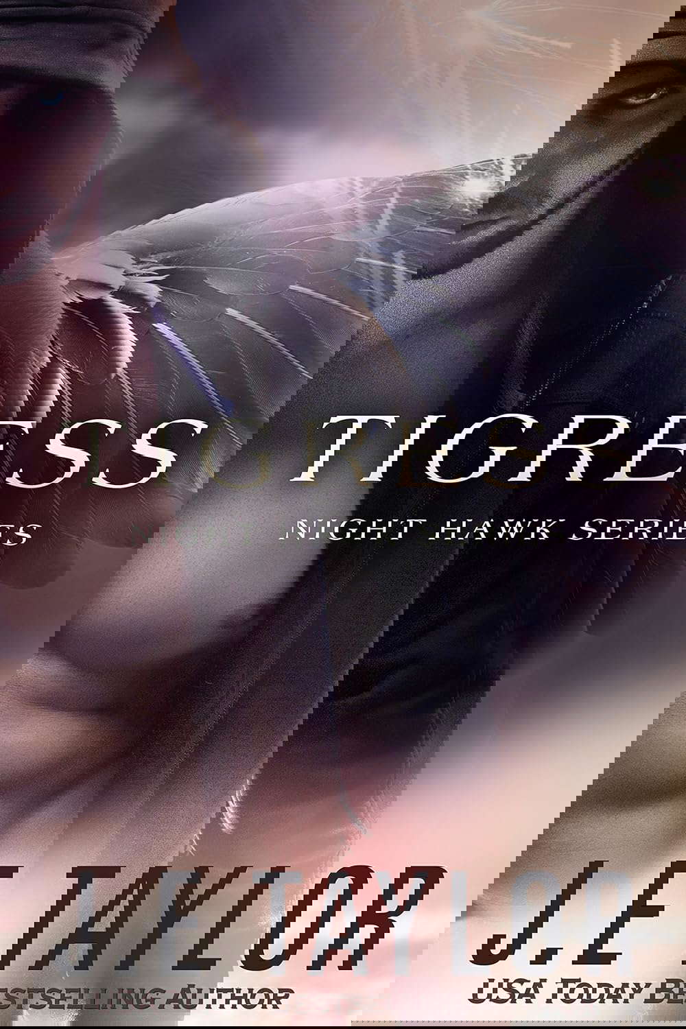 Tigress (Night Hawk Series Book 2) poster