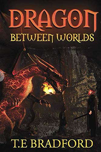 Dragon Between Worlds (Divide Series) poster