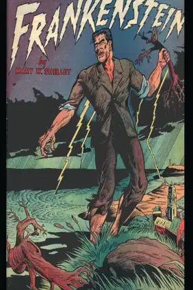 Frankenstein poster