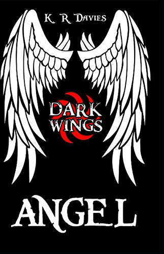 Dark Wings 1: Angel poster