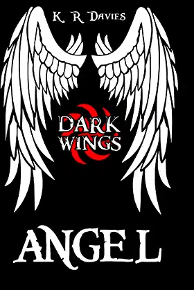 Dark Wings 1: Angel poster