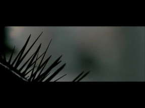 Splinter Trailer poster