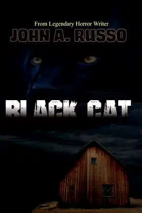 Black Cat poster