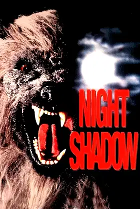 Night Shadow poster